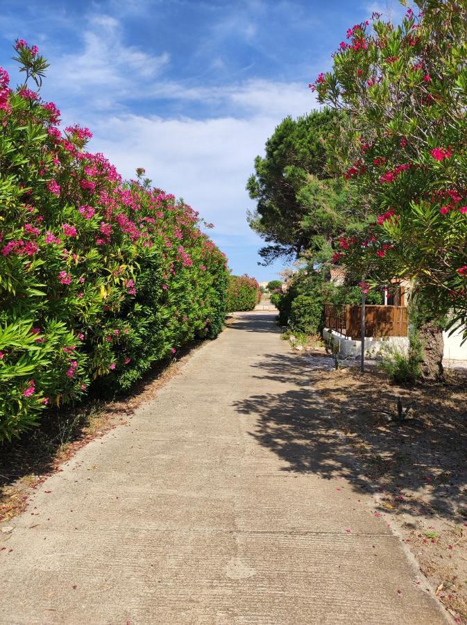 Proche de la mer - coquette villa de vacances Le Barcarès Exterior foto